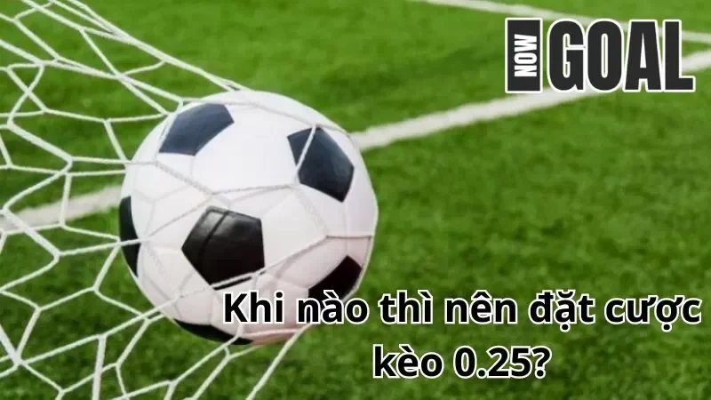 Đặt cược 0.25 khi nào?